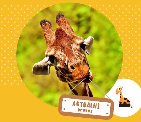 Výstřižek_aktualni_provoz