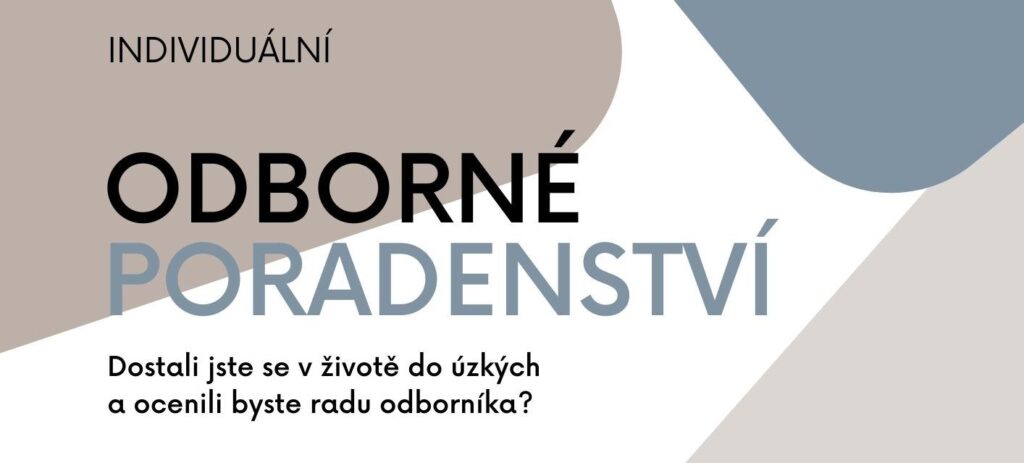 Individuální odborné poradenství